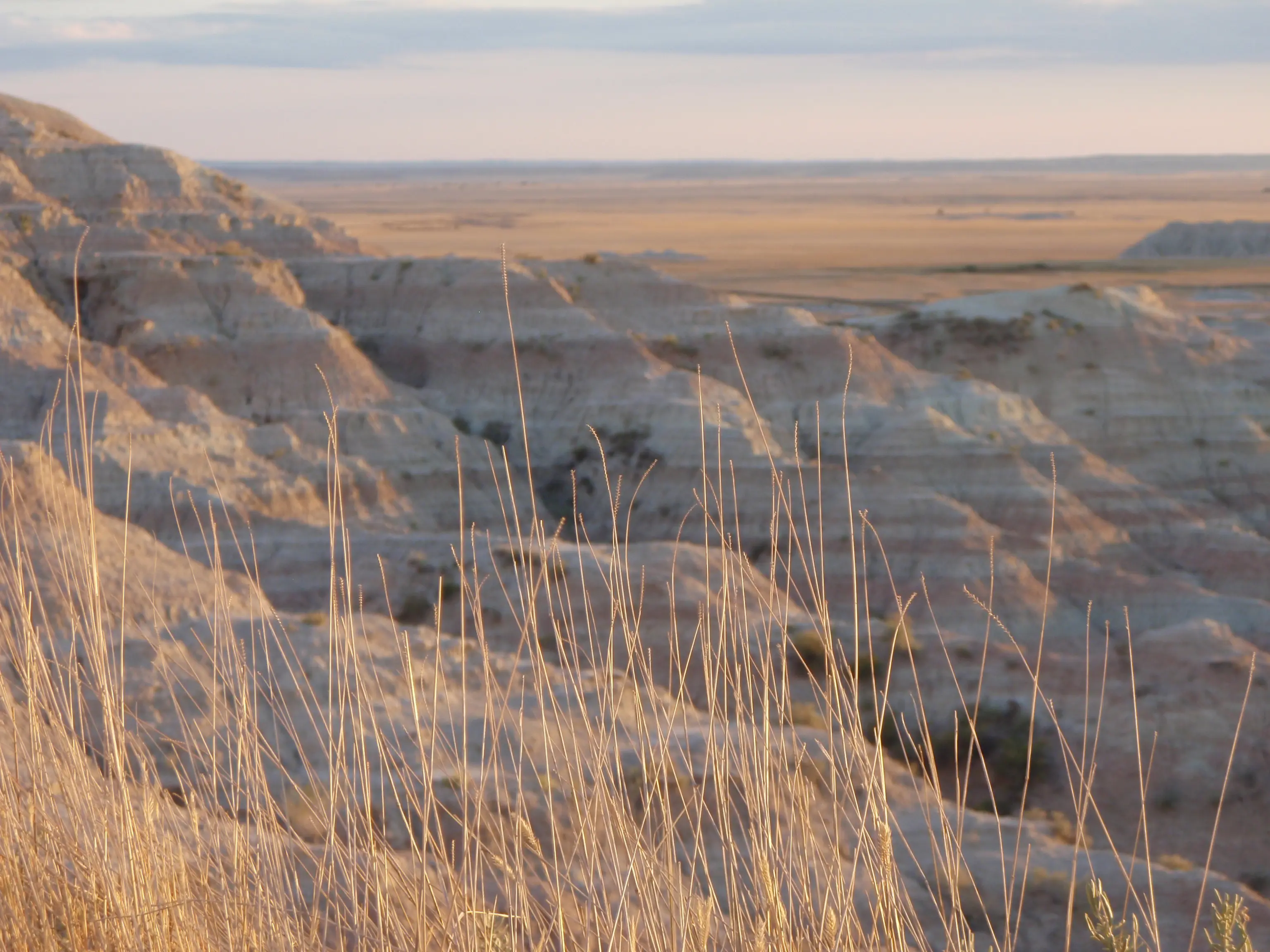 Abstract painting representing creative expression and growth