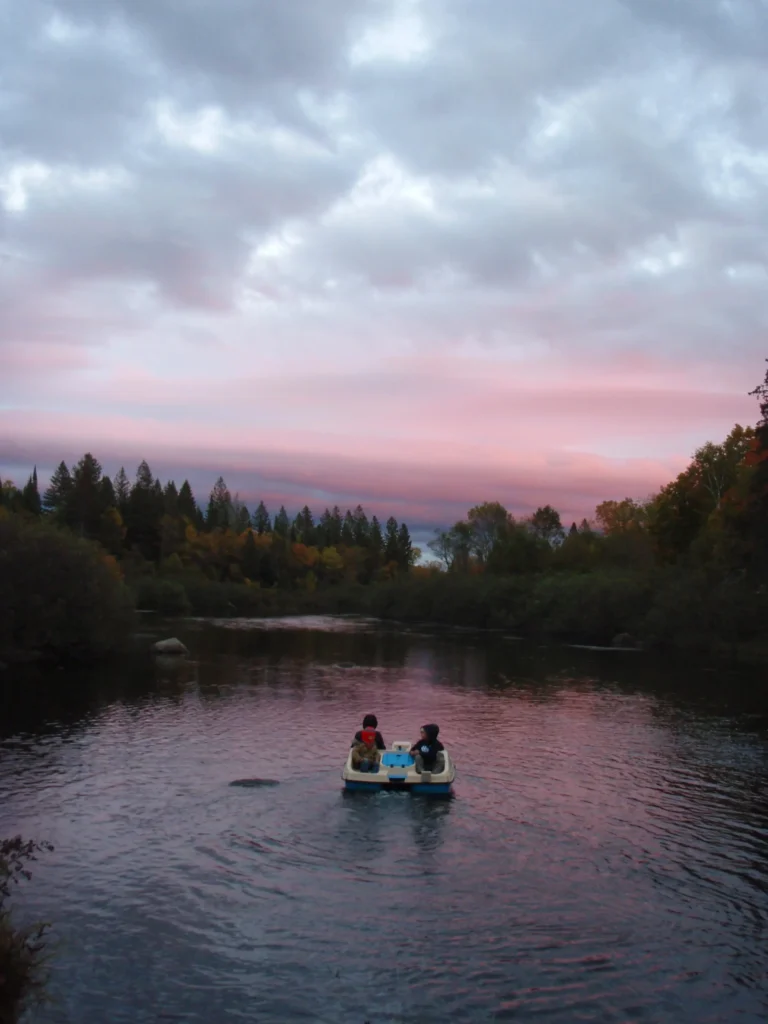 Beautiful sunset sky with silhouetted trees representing hope and healing